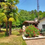 Tatil Evi Ruje