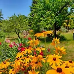 Tatil Evi Ruje Prepotto (Giuliana)