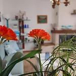 Tatil Evi Ruje Prepotto (Giuliana)