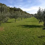 Ruje * Prepotto (Giuliana)