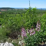 Tatil Evi Ruje *
